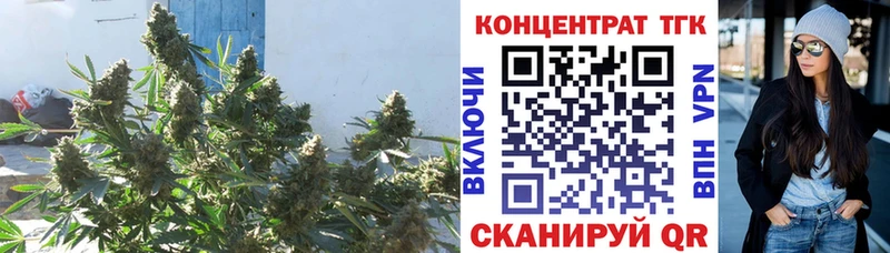 купить наркоту  darknet состав  Дистиллят ТГК жижа  Заринск 