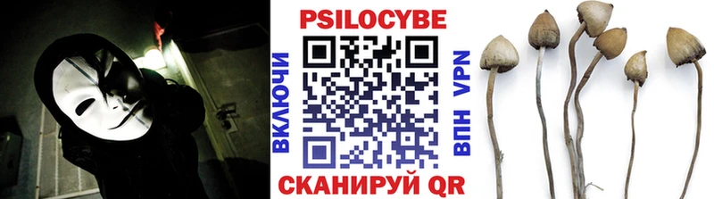 Галлюциногенные грибы мухоморы  гидра как зайти  Заринск 
